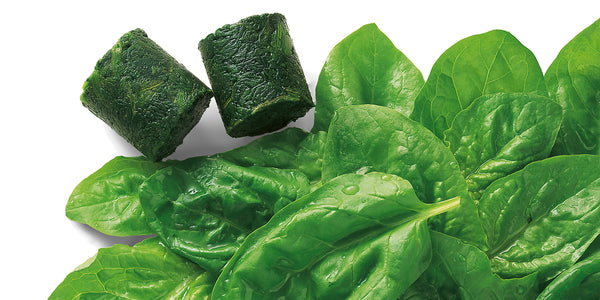 SPINACH LEAF 10KG x BOX